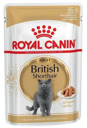 Royal canin british shorthair karma mokra w sosie dla kotów dorosłych rasy brytyjski krótkowłosy saszetka 85g