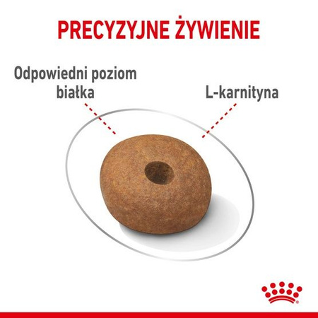 Royal canin medium light weight care karma sucha dla psów dorosłych, ras średnich tendencją do nadwagi 3kg