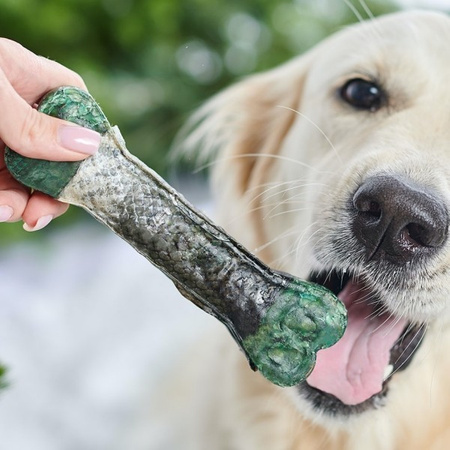 John Dog kość w skórze łososia z krylem, omułkiem nowozelandzkim i algami 17 cm