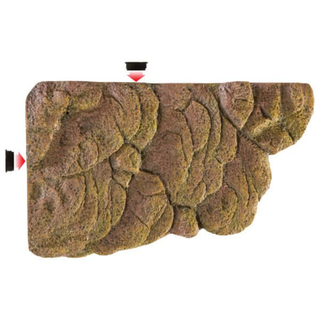 Wyspa dla żółwia, L