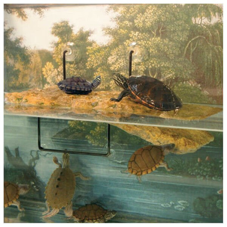 Zoomed wyspa dla żółwi 12x28 cm