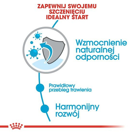 Royal canin mini puppy karma sucha dla szczeniąt, od 2 do 10 miesiąca życia, ras małych 4kg