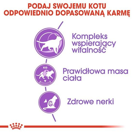 Royal canin sterilised 7+ karma sucha dla kotów dorosłych, od 7 do 12 roku życia, sterylizowanych 3,5kg
