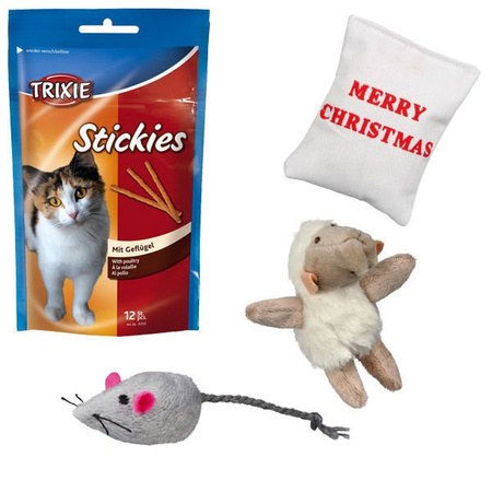 Świąteczny prezent dla kota