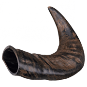 Róg bawoli , gryzak, mały