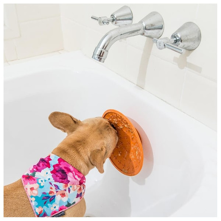 LickiMat Splash mata z przyssawką dla psa, kota 5x19 cm