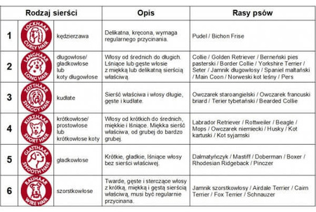 Trixie miękka szczotka dla psa 10x16 cm wycofana