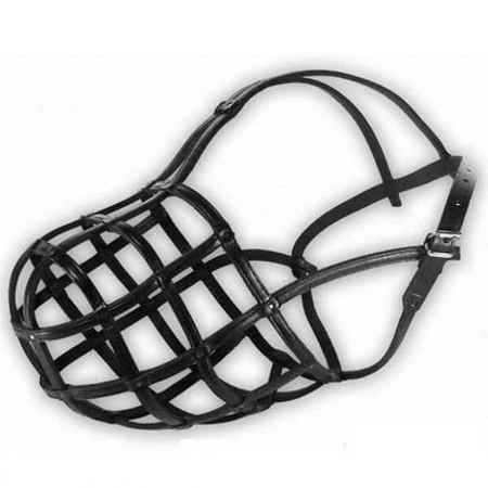 Dino kaganiec skórzany gwoździowany 12 owczarek kaukaski