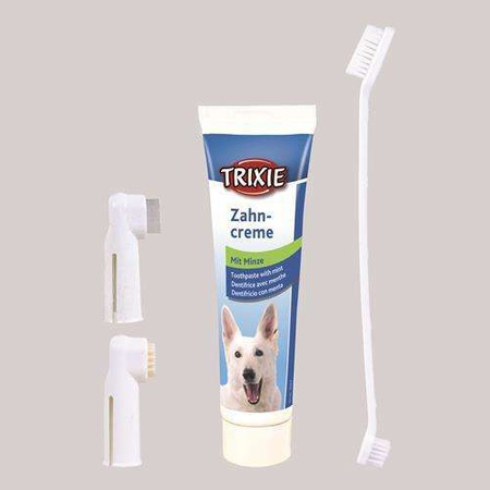 ZESTAW DO CZYSZCZENIA ZĘBÓW