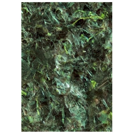 Ocean nutrition green marine algae