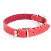 Dingo Obroża skórzana podszyta filcem 1,0x36cm czerwona