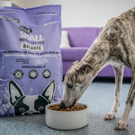 EAT SMALL Balance karma sucha z insektów 100 g