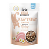 Brit Care Raw Treat indyk dla kota 40 g