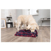 Gra aktywizująca dla psa Sniffing Carpet, 50 x 34 cm