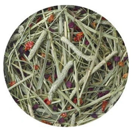 Versele Laga siano tymotkowe z burakiem i pomidorem 500 g