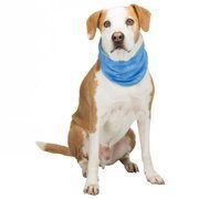 Bandanka chłodząca, PVA, XL: 47–57 cm, niebieska