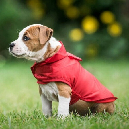 amiplay Bristol pelerynka przeciwdeszczowa czerwona 38 cm