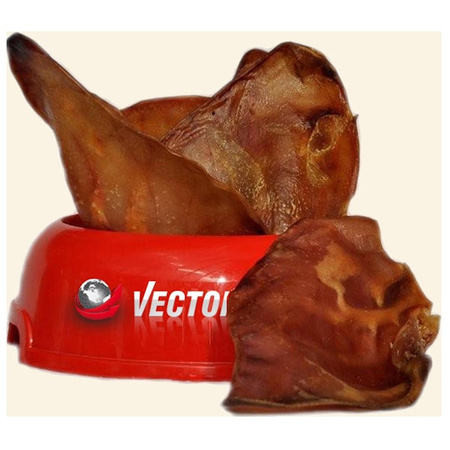 Vector-Food ucho wieprzowe małe 10 szt