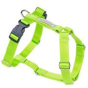 amiplay Samba szelki dla psa Guard zielone XL