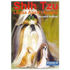 Shih tzu miroslaw redlicki