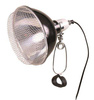 Lampa z klamrą zaciskową, czarna, z siatką ochronną, o 21cm, 150W