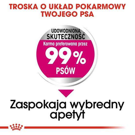 Royal canin mini exigent karma sucha dla psów dorosłych, ras małych, wybrednych 1kg