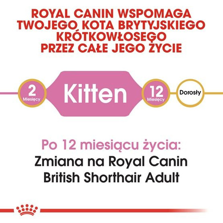 Royal canin british shorthair kitten karma sucha dla kociąt, do 12 miesiąca, rasy brytyjski krótkowłosy 400g