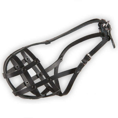 Dino kaganiec skórzany nitowany 17 bokser duży