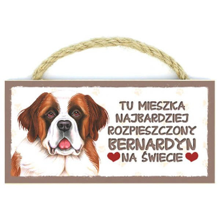 Power gift magnez z pupilem - bernardyn