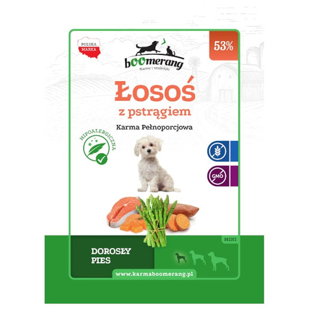 bOOmerang łosoś z pstrągiem karma dla psa 6 kg