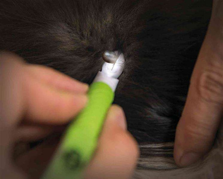 PRZYRZĄD DO USUWANIA KLESZCZY Z LAMPKĄ LED 14cm