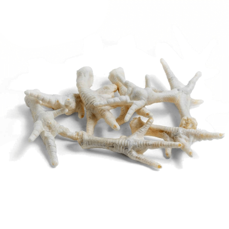 Petmex kurze łapki białe dla psa