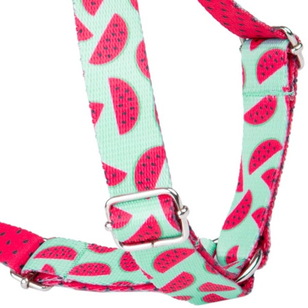 amiplay BeHappy szelki regulowane Guard Watermelon S