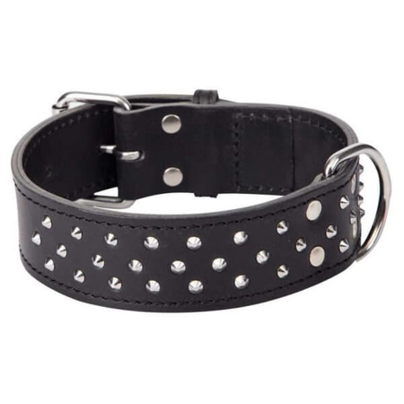 Dingo obroża skórzana potrójnie puklowana dla psa