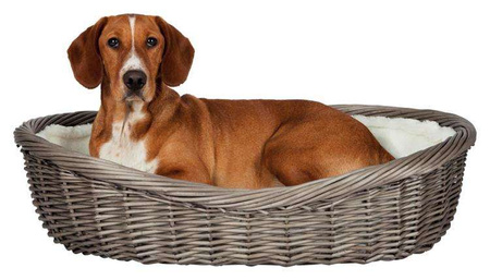 Kosz wiklinowy dla psa, 60 cm, szary