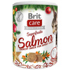 Brit Care Christmas Superfruits łosoś dla kota 100 g