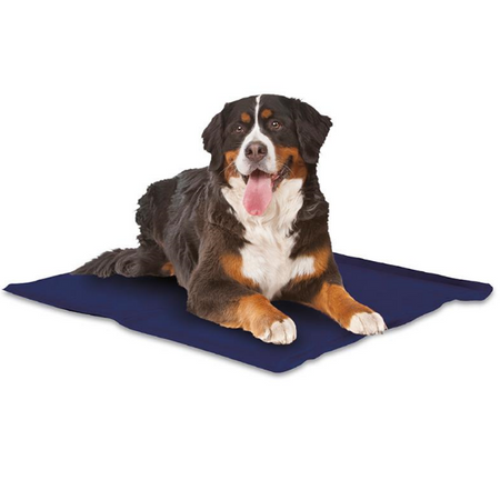 Croci Alaska mata chłodząca niebieskie paski 90x50 cm