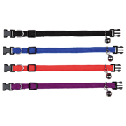 Obroża, dla kota, mix kolorów, taśma parciana