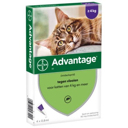 Bayer advantage 4x0,8ml dla kotów powyżej 4kg