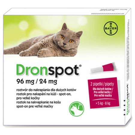 Bayer dronspot dla dużych kotów o wadze od 5 do 8 kg