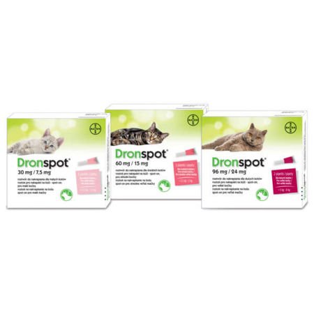 Bayer dronspot dla małych kotów o wadze od 0,5 do 2,5 kg