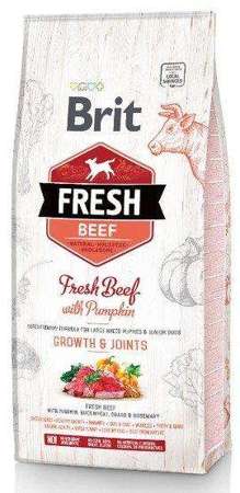 Brit fresh beef & pumpkin puppy large growth & joints