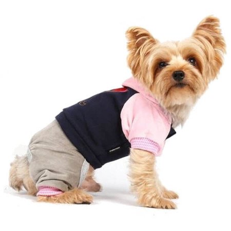 Doggy dolly komplet sportowy bluza i spodnie
