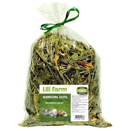 Lili farm słoneczna uczta dla królika i gryzoni 100 g