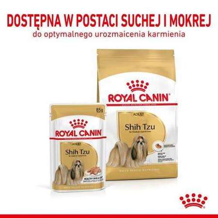 Royal Canin Shih Tzu Adult karma mokra dla psów dorosłych rasy shih tzu saszetka 85g