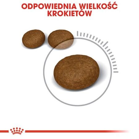 Royal canin hair&skin care karma sucha dla kotów dorosłych, lśniąca sierść i zdrowa skóra 4kg