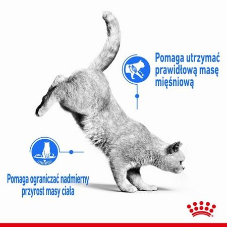 Royal canin light weight care karma sucha dla kotów dorosłych, utrzymanie prawidłowej masy ciała 3kg