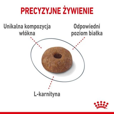 Royal canin light weight care karma sucha dla kotów dorosłych, utrzymanie prawidłowej masy ciała 3kg