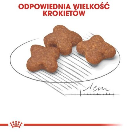 Royal canin mini adult karma mokra w sosie dla psów dorosłych, ras małych saszetka 85g