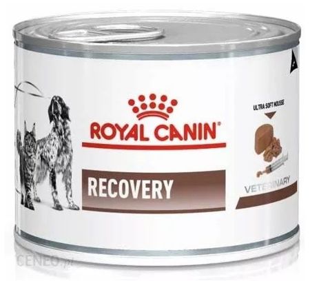 Royal canin veterinary diet recovery puszka 195g